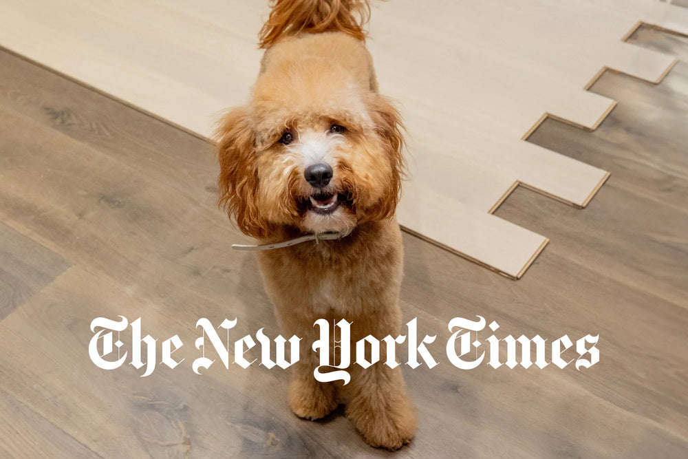 PID Floors (& Mascot) Featured in The New York Times