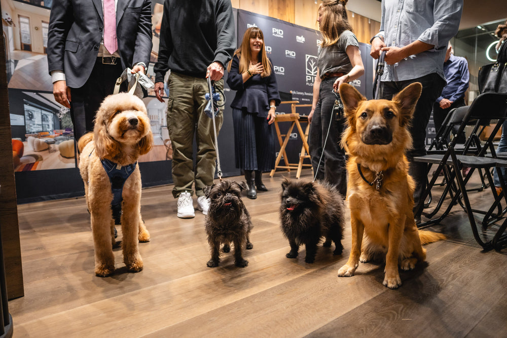 AIANY’s Puppy Talk & Pimm’s Cup: A Dog-loving Designer Cocktail Party & Workshop