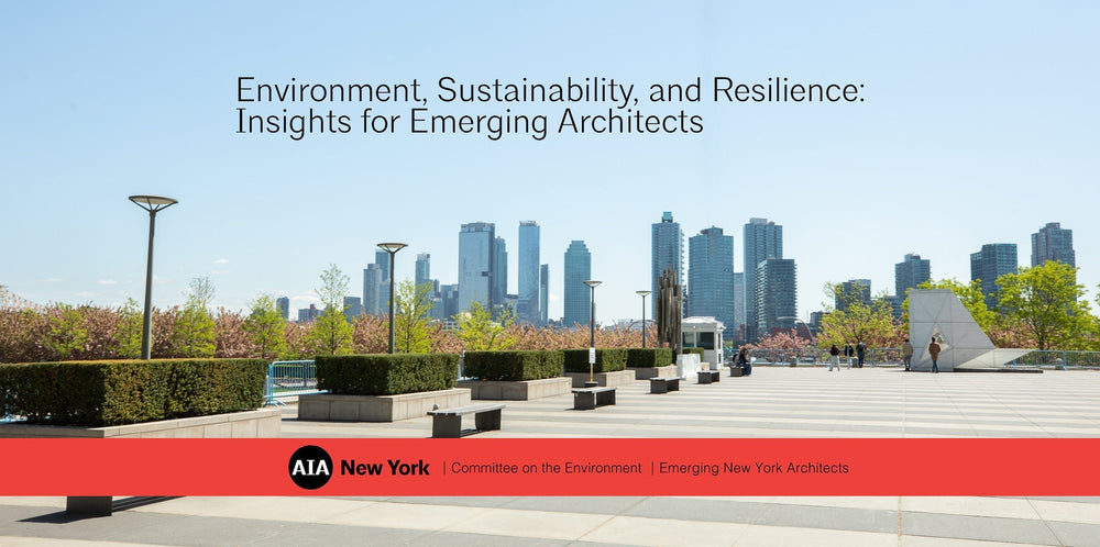 Environment, Sustainability, and Resilience: Insights for Emerging Architects