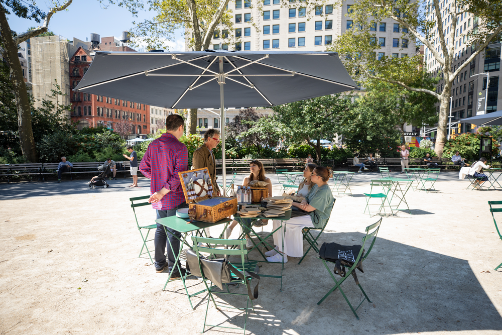 Outdoor Lunch and Learns in Madison Square Park