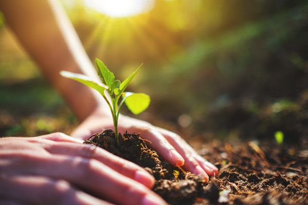 Earth Day 2022