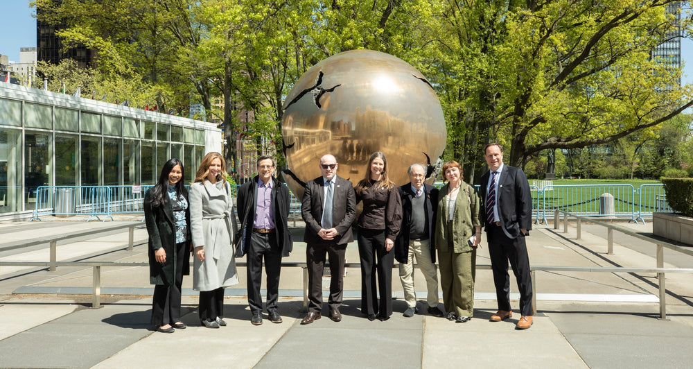 NY11+ Design Fundraising Event & Luncheon at the United Nations