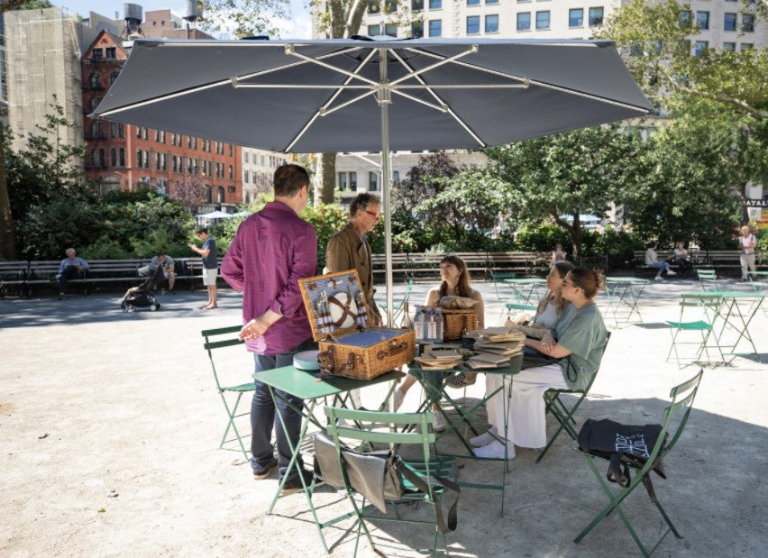 Outdoor Lunch and Learns in Madison Square Park