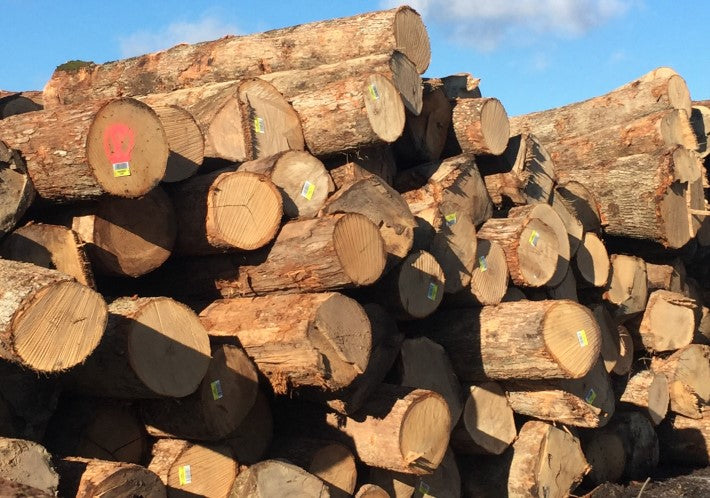 The PID Floors Guide to Wood Cuts