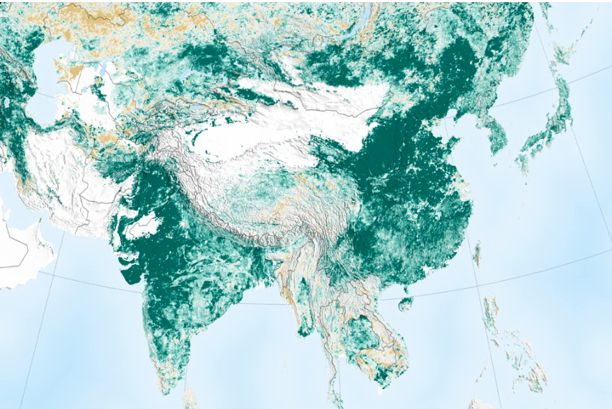 Greening The Earth