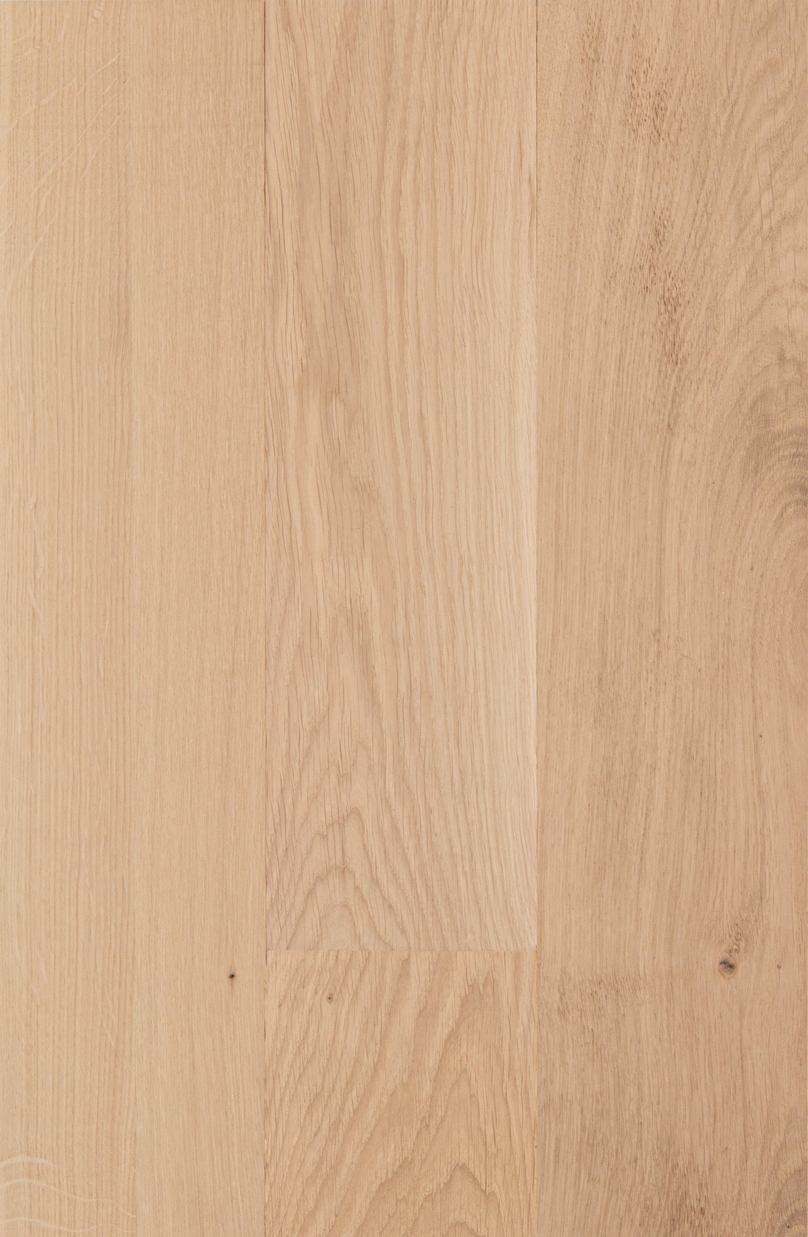 Unfinished White Oak (European)